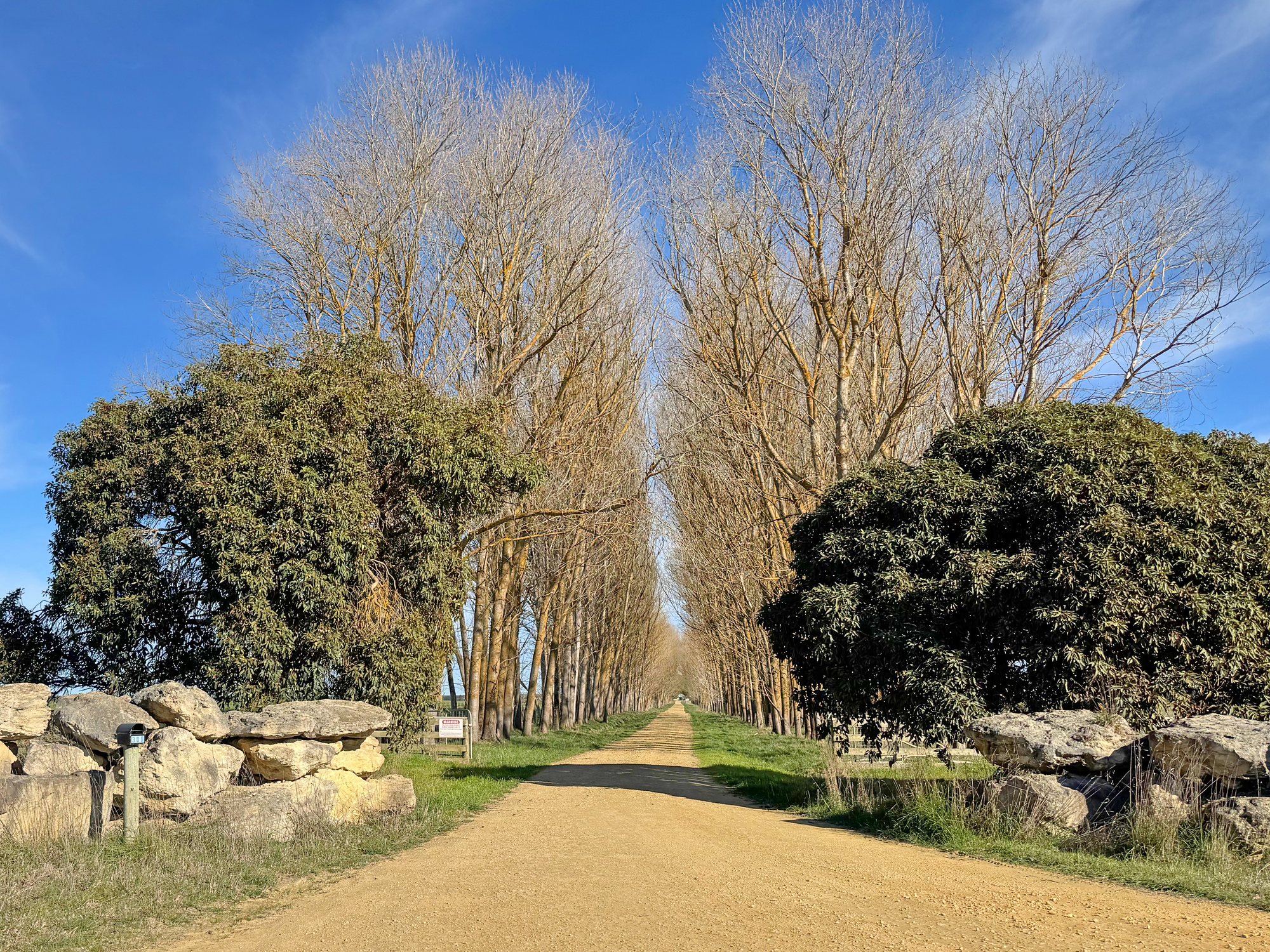 Tree-lined entrance to Emerald Springs